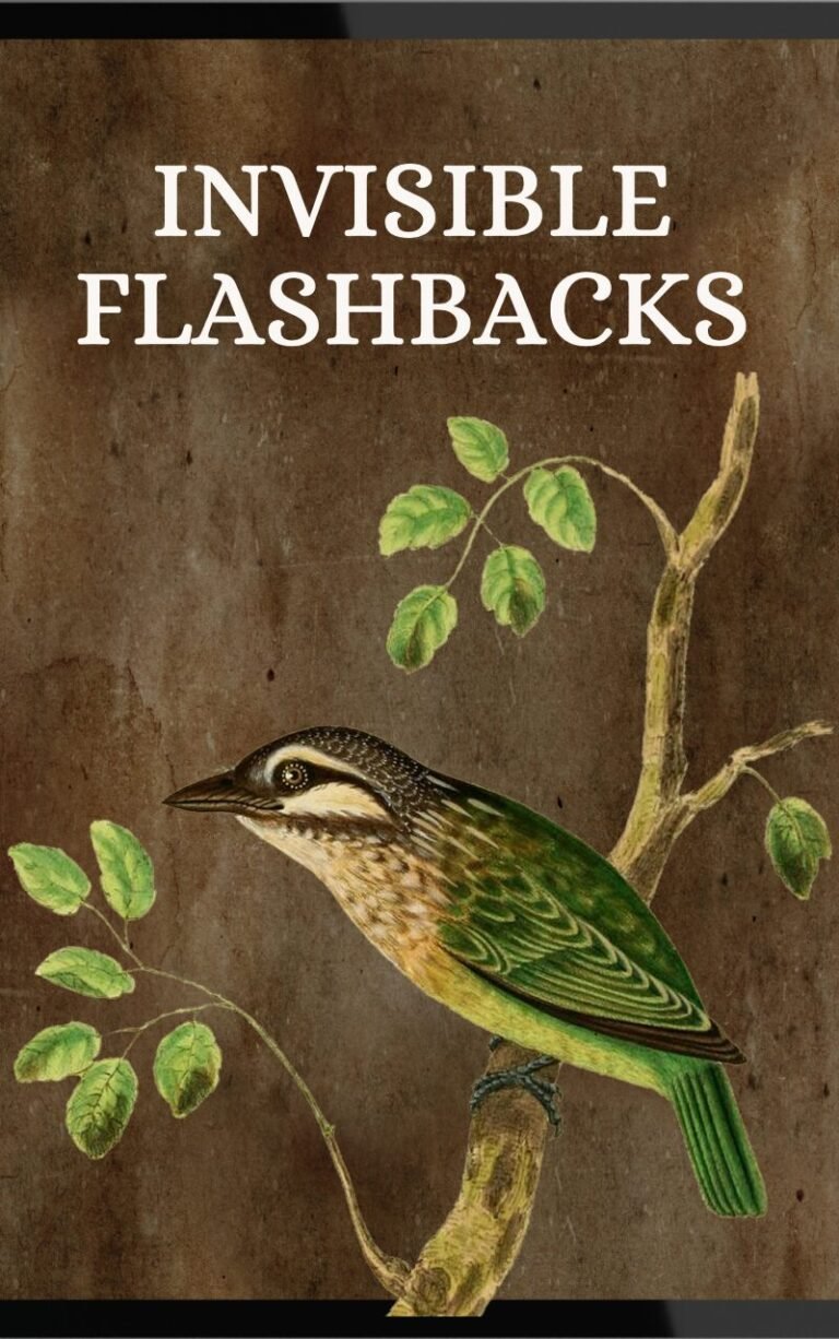 Invisible Flashbacks